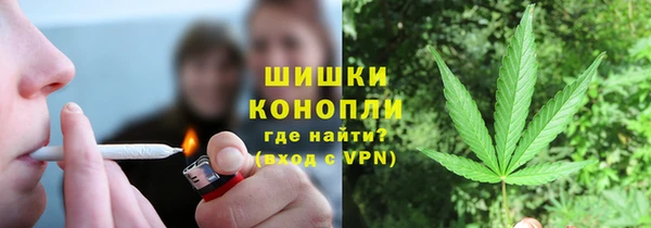 сатива Медвежьегорск