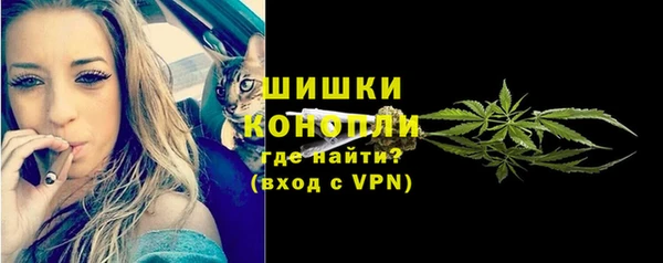сатива Медвежьегорск