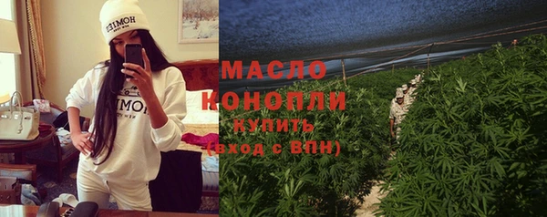 прущий лед Вяземский